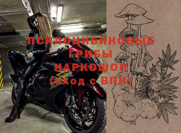 apvp Навашино