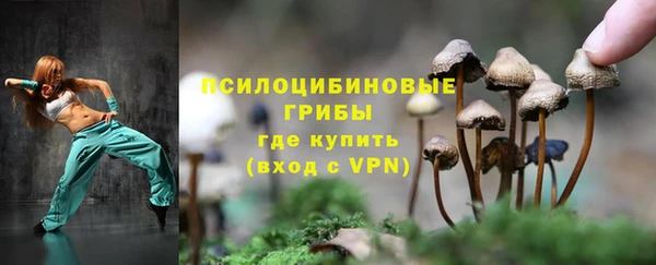 apvp Навашино