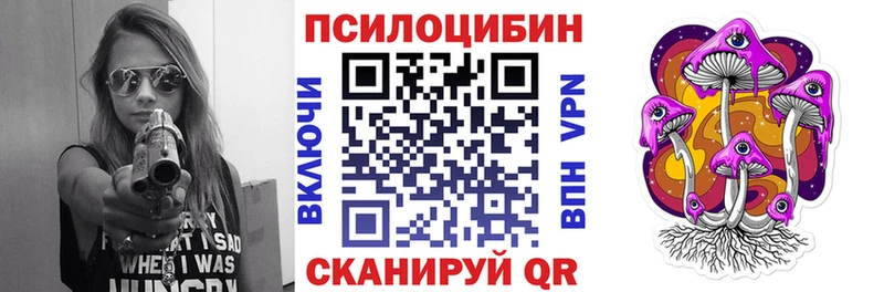 что такое Волжский Псилоцибиновые грибы Psilocybine cubensis