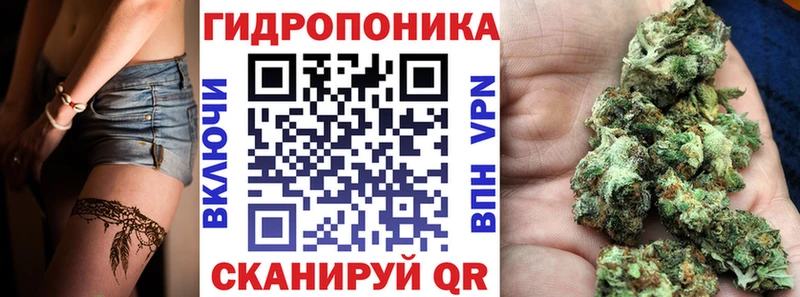 Шишки марихуана семена  где можно купить   Волжский 